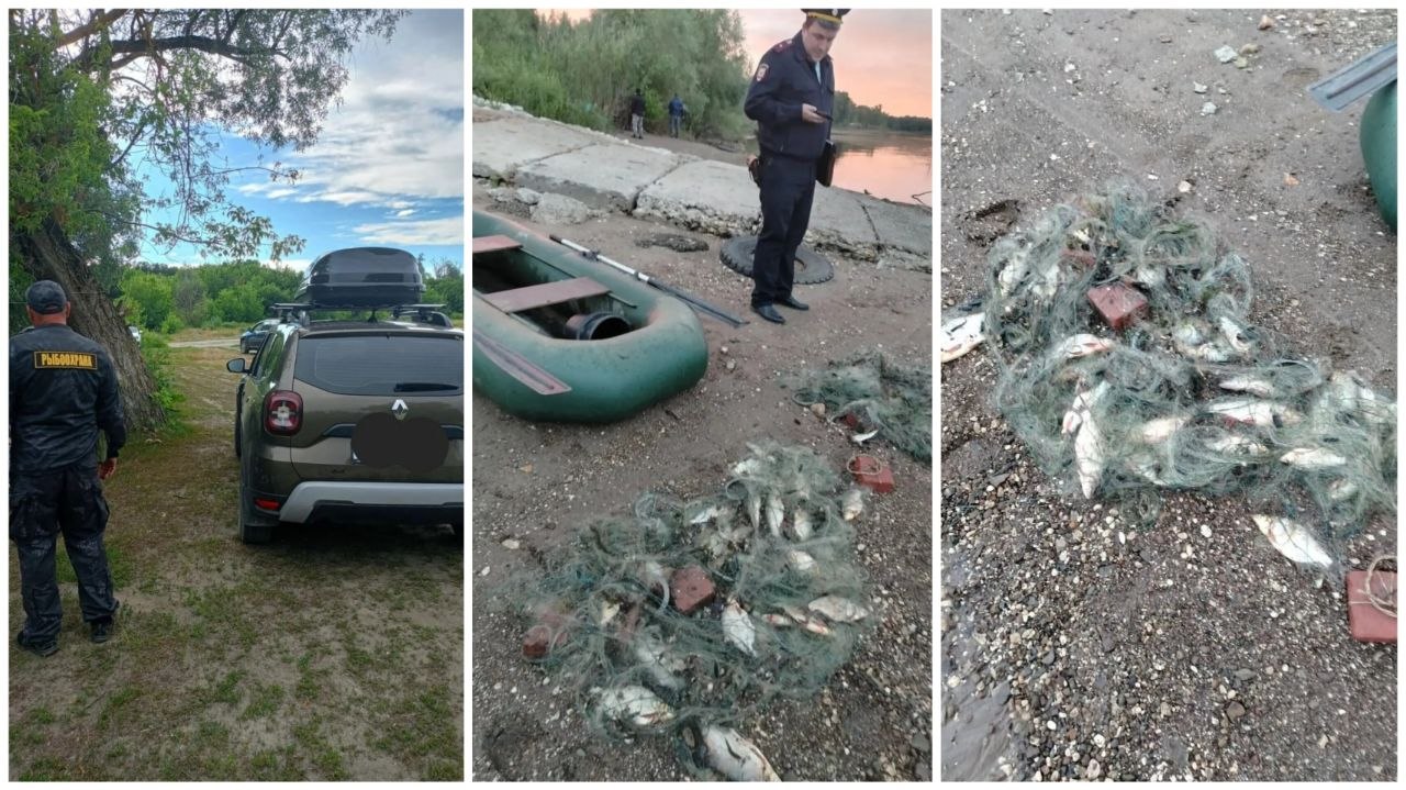 У саратовских рыбаков изъяли 46 кг улова: ущерб природе оценили в 102 тысячи рублей У саратовских рыбаков изъяли 46 кг улова: ущерб природе оценили в 102 тысячи рублей